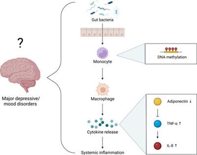 Examining the immunoepigenetic-gut microbiome axis in the context of self-esteem among Native Hawaiians and other Pacific Islanders